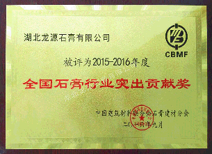 全国石膏行业突出贡献奖